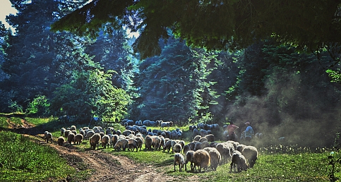 ''Astronomi doğa ve fotoğraf iste bu muhteşem üçlü.'' Mert Köroğlu