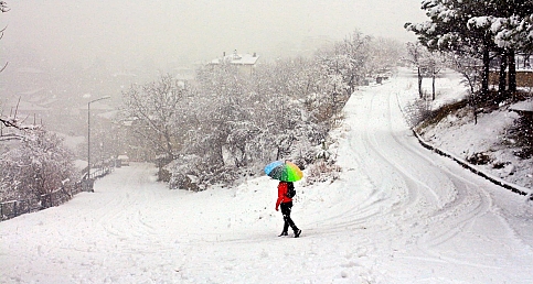 Doğa Fotoğrafçısı Yusuf Halıcıol'un Vizöründen Safranbolu