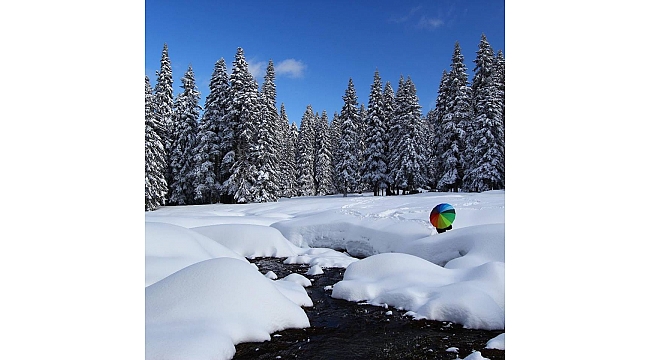 Kış, Zonguldak Bölge Müdürlüğü Ormanlarına Ayrı Bir Yakışıyor