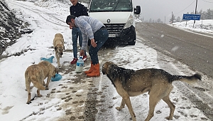 Kar bir anda bastırdı, her yeri beyaza bürüdü!