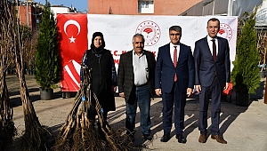 KAPAMA MEYVE BAHÇECİLİĞİ FİDAN DAĞITIM TÖRENİ DÜZENLENDİ