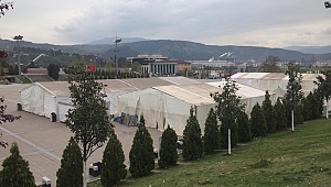 Esnafa