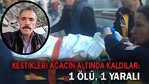 Kestikleri ağacın altında kaldılar: 1 ölü, 1 yaralı