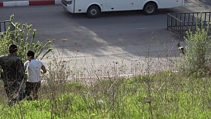Mahalleli yakalamak için peşine düştü!
