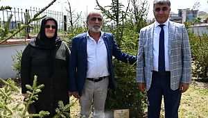 Şehitlerin Adını Taşıyan Fidanlar Toprakla Buluştu