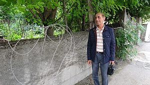 Ağaç otomobilin üzerine devrildi! O anlar kameraya yansıdı