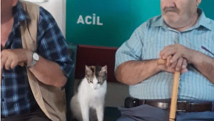 Karabük'te gülümseten kare