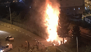 Muhtar, canlı yayın yaparak isyan etti