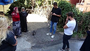 Bunun adı vahşet!