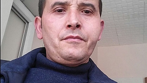 Devrilen ağacın altında kalan orman işçisi öldü
