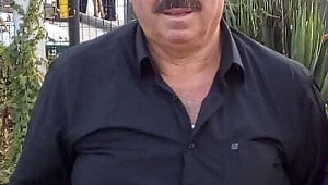 Orman işçilerinin üzerine ağaç devrildi: 1 ölü, 1 yaralı