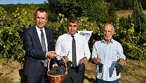 Yerli Tohumla 12 çeşit ürünün üretimi yapıldı