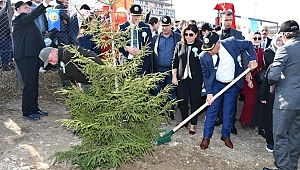 67 bin 700 ağaç dikildi