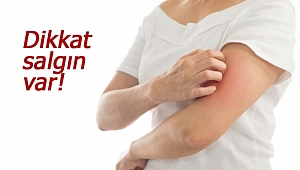 Büyük tehlike gittikçe yayılıyor! Sağlık Müdürlüğü'nden uyarı geldi