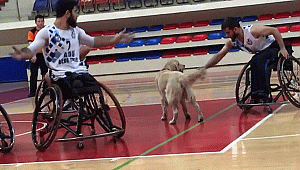 Karabük'te, sahaya giren köpek nedeniyle maç durdu