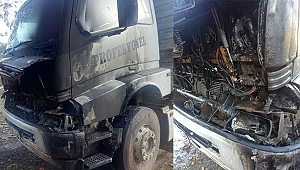 Odun Hırsızlığına Tanık Oldu, Başına Gelmedik Kalmadı