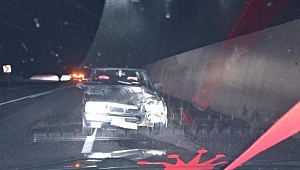 Otomobilin çarptığı domuz telef oldu
