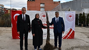 6500 Adet Meyve Fidanı Dağıtıldı