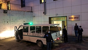 Annesini vahşice öldürdü!