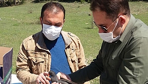 Karabük'te yaralı su tavuğu tedavi edildi
