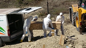 Corona virüsten ölenlerin sayısı 9'a yükseldi