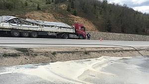 Freni boşalan TIR'ın şoförü, faciayı önledi