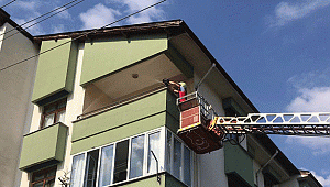 Balkondaki ağa takılan güvercini, itfaiye kurtardı