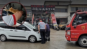 İtfaiye ekipleri araç motoruna sıkışan kediler için seferber oldu