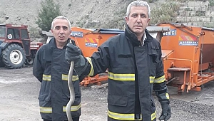 İtfaiyeden yılan operasyonu