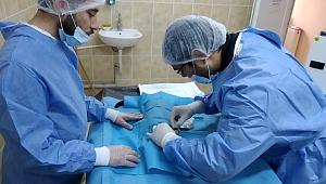 Safranbolu'da sokak hayvanları unutulmuyor