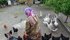 Yumurtaları yerken yakaladığı kargaya tembihte bulundu