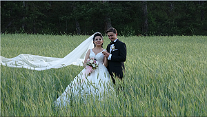 Buğday tarlaları, 'doğal fotoğraf stüdyosu' oldu