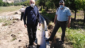 Uzun,