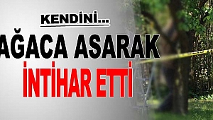 67 yaşındaki kadın intihar etti
