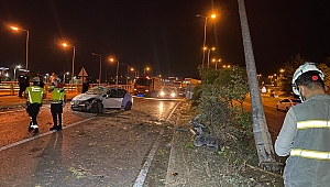 Aydınlatma direğine çarpan otomobildeki 2 kişi yaralandı