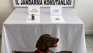 Karabük'te uyuşturucu operasyonuna 1 tutuklama