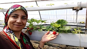 4'üncü kattan düşen kadın kurtarılamadı