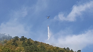 Karabük'te orman yangını! 1 uçak ve 1 helikopter havadan müdahale ediyor