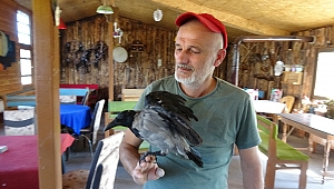 Esnaf ile karganın dostluğu herkesi şaşırtıyor