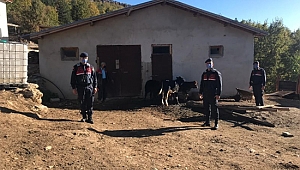 Jandarma drone ile buldu