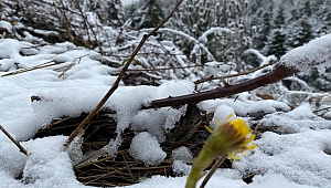 Meteoroloji'den Karabük dahil 19 il için sarı uyarı