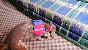 Uyuşturucu radara takıldı!