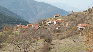 İnternet çekmeyen köyde uzaktan eğitim mücadelesi