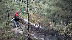 KARABÜK'TE ORMAN YANGINI
