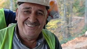 Yenice'de Orman kazası 1 ölü