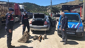 Saklarken yakalandılar