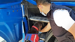 TIR'da uyuşturucu operasyonu