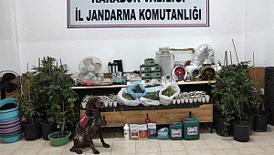Jandarmadan uyuşturucu operasyonu