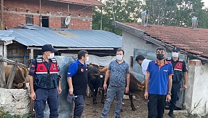 Jandarma drone ile buldu