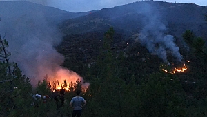 Karabük'teki orman yangını! Vali Gürel son durumu açıkladı